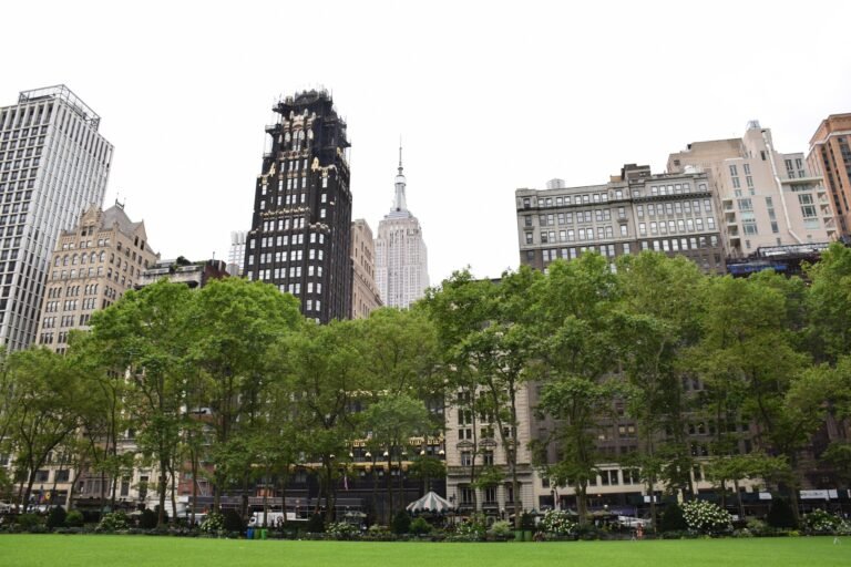 Explore the top USA universities for world-class undergraduate and graduate education.